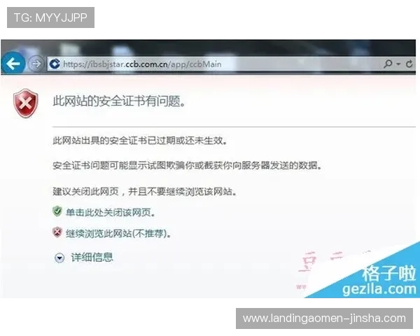 如何安全访问金沙澳门平台网址，详细步骤指导与常见问题解答