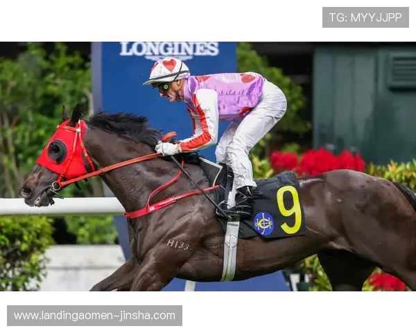 澳门赛马排位表详细解读及相关资料新闻，助力赛马粉丝掌握赛场最新动态与排名趋势